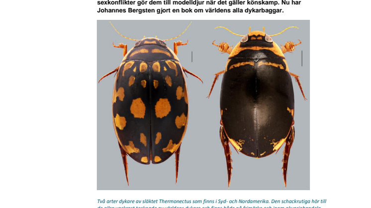 Med koll på all världens dykare