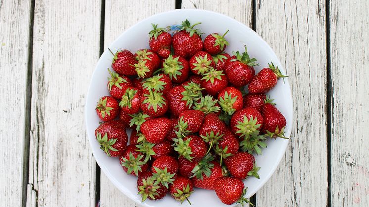 strawberries-986628_1920