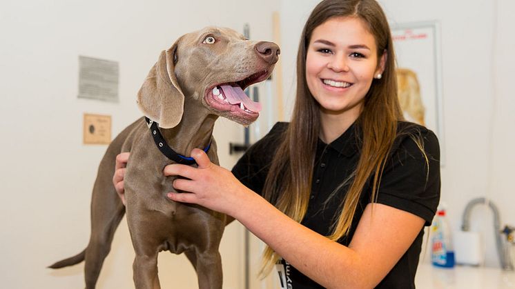 Elev med hund.jpg