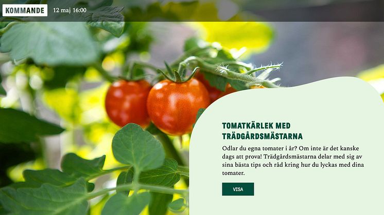 Onsdag 12 maj är det världspremiär för Blomsterlandets liveshopping.
