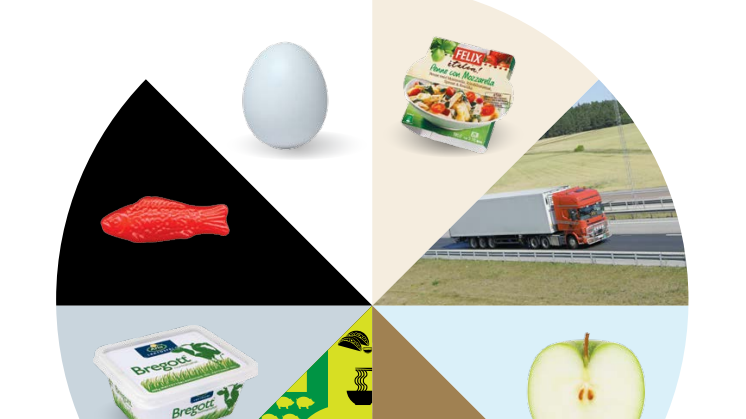 Ny undersökning: Svenskarna skäms mest över att äta dietmat