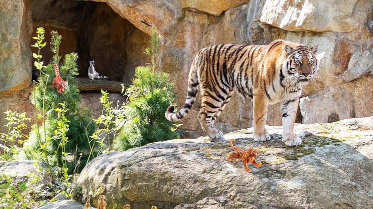 Vom 01. – 05. Juni 2020 laden PLAYMOBIL und der Zoo Berlin zum großen Zoo-Quiz ein