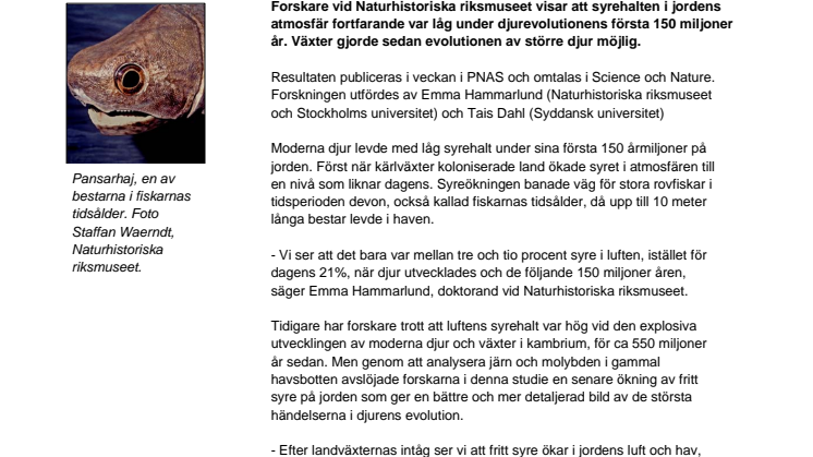 Djurevolutionen tog fart när landväxter förändrat jordens atmosfär