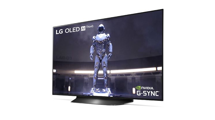 LG OLED TV_48CX