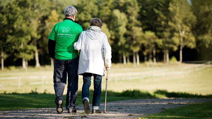 Pensionärer som hjälper äldre allt mer populärt