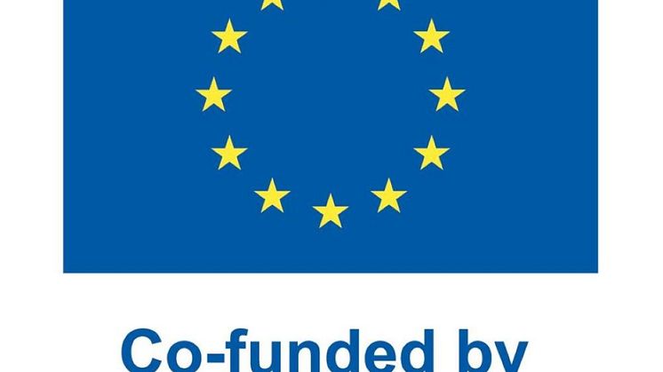 EN V Co-funded by the EU_POS.jpg