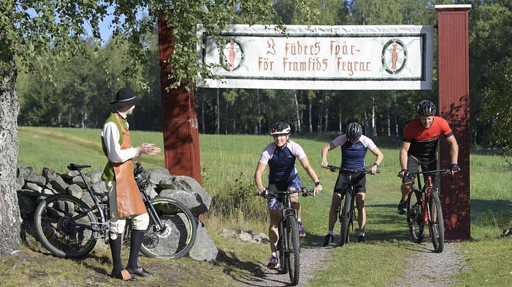 Hemmavasan 2020 i Falun