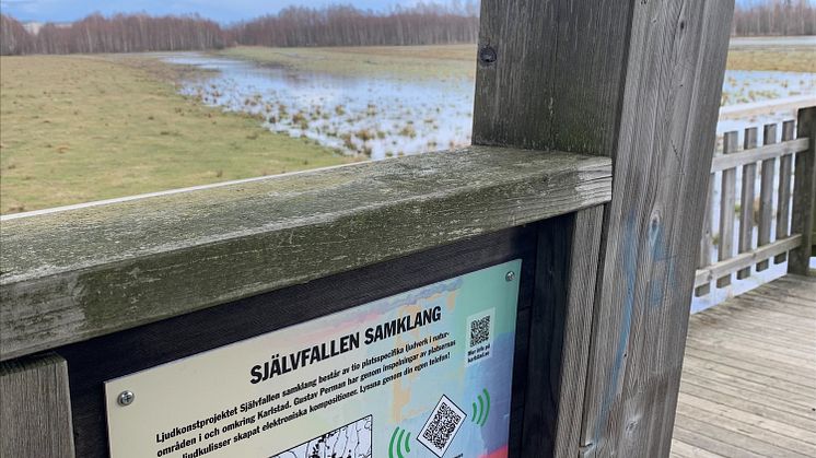 ​​Upplev ljudkonst i naturen!​ 