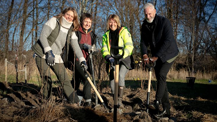 Fr v Johanna Karlén, trädgårdsingenjör, Karin Saler, odlare och arkitekt, Johanna Frelin, vd, Riksbyggen och Fredrik Kjos, (M) kommunstyrelsens ordförande Upplands-Bro kommun. Foto: Johanna Hanno