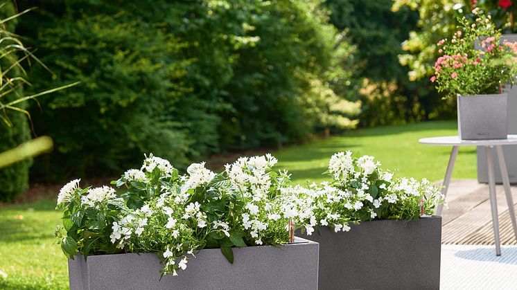 Självvattnande blomlåda-smartasaker