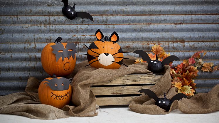 Barnens bästa pumpor för Halloween