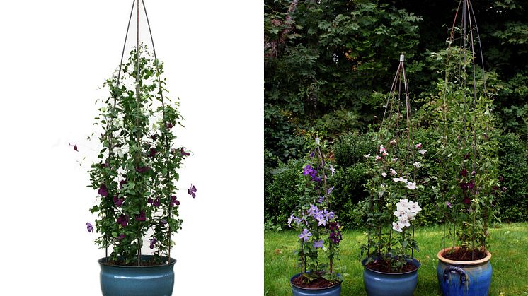 Svängstastödet - Nominerad till Elmia Garden Award - Årets Trädgårdsprodukt 2022