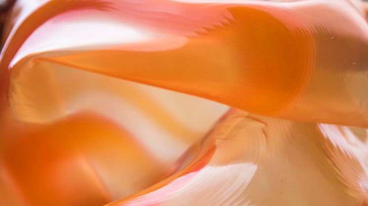 Unpredictable Flesh - Nya digitala hantverk, materialforskning och upplevelser i interaktiv arkitektur