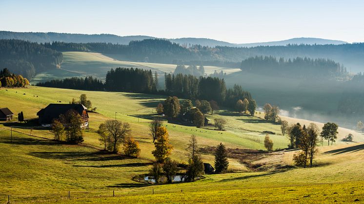 Schwarzwald