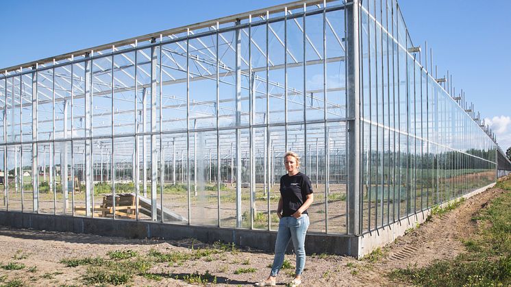 Anna Larsson på Viklundagård framför byggnationen av det nya växthuset. 