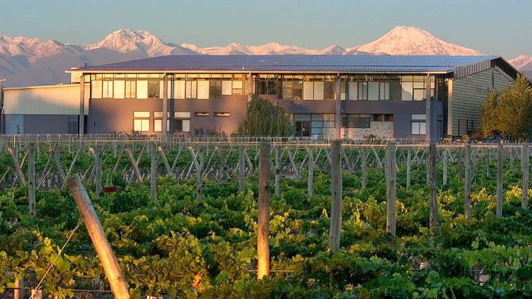 Zolo Vinery