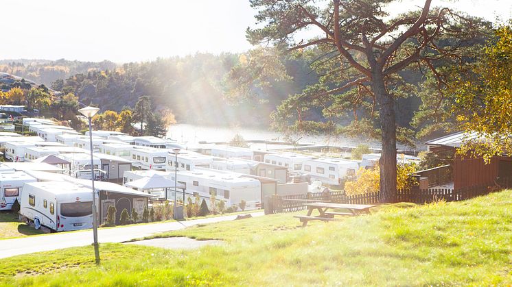 För 15:e gången utses Daftö Resort till Superplatz av ADAC.