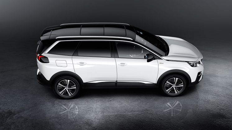 peugeot_5008_0709styp_008_jpg