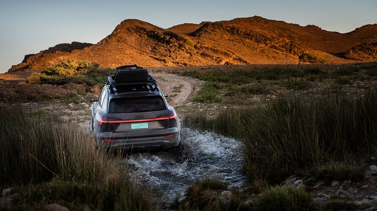 Audi Q8 e-tron edition Dakar
