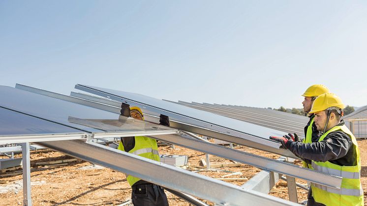 SUNOTEC_press-photo_workers-assemble-solar-module_close-up