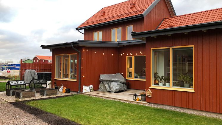 Fisktärnan bild 3