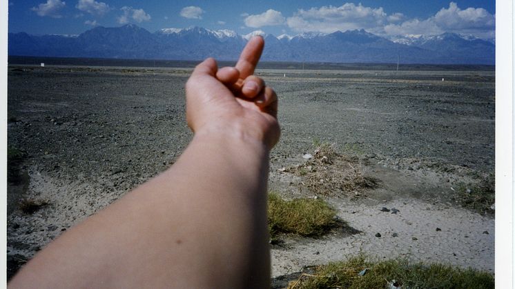 Contemporary artists who take liberty