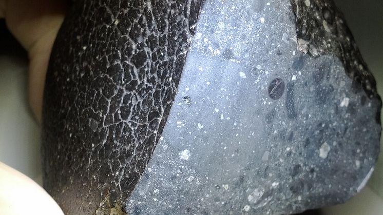 Marsmeteoriten Black Beauty avslöjar att en skorpa bildades mycket tidigt på Mars.