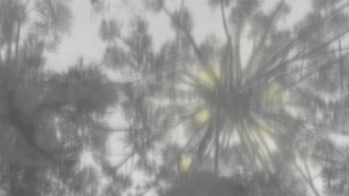Maybe memory is all the home you get... on how displacement shapes identity