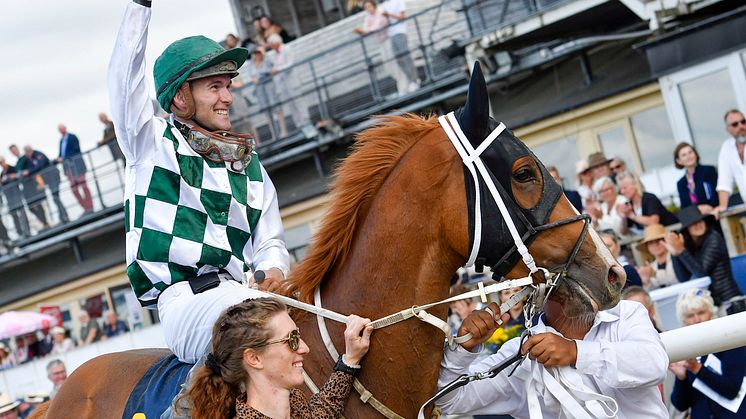 Hard One To Please överraskade alla i Jockeyklubben Svenskt Derby