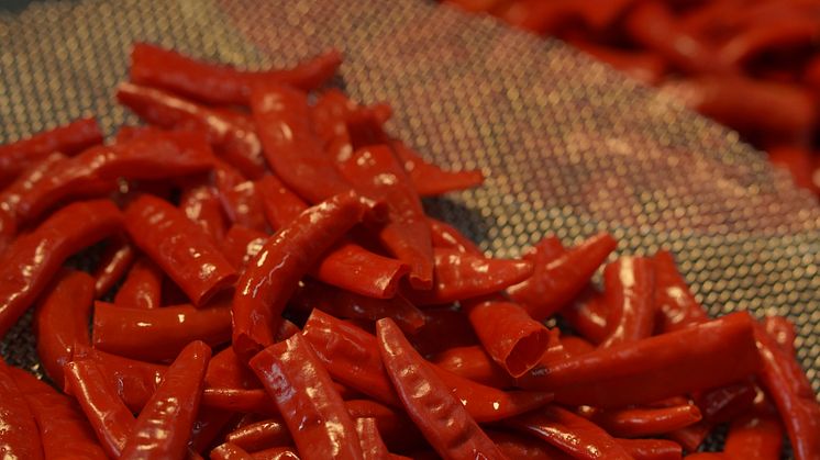 Nemiroff_Chilli pepper (1)