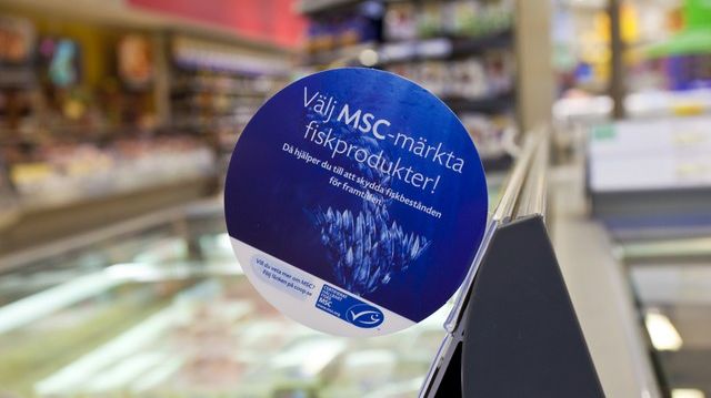 Ny undersökning pekar på betydande konsumentmedvetenhet om MSC:s miljömärkning