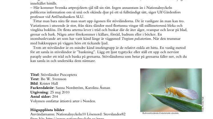 Upptäck stövsländorna i äppelträdet