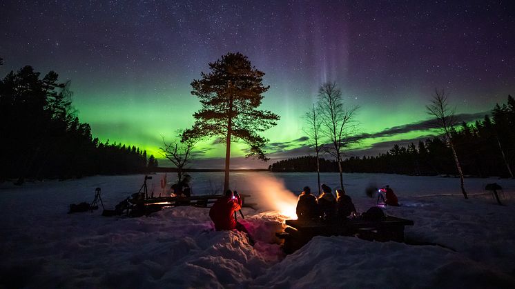 Foto: Fredrik Larsson