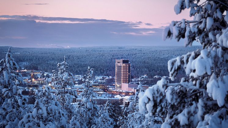Stadsnära Vitberget erbjuder både förstklassig skidåkning och en fantastisk utsikt över Skellefteå. Fotograf: Visit Skellefteå