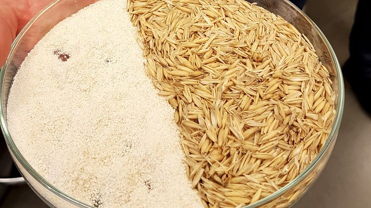 Bränna eller ge till djuren? Nej, uppgradera till värdefulla produkter. Foto: Sofia Klugman