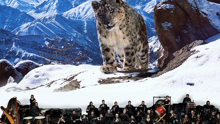 SnowLeopard_Orchestra