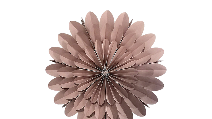 En stämningsfull adventsstjärna i blomform från Clas Ohlson
