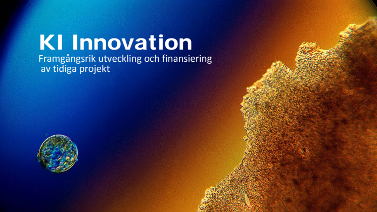 Karolinska Institutet Innovations AB (KIAB) presentation