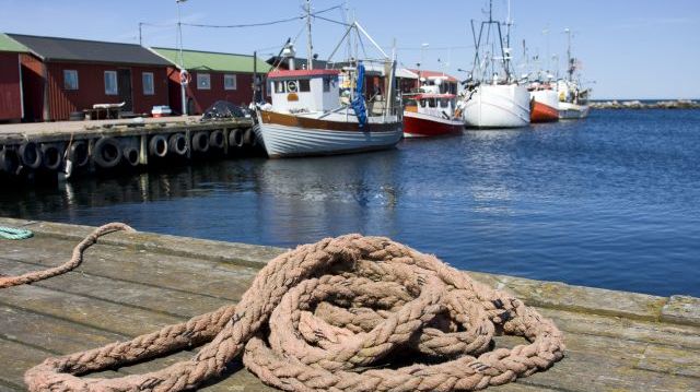 Med Sveriges hundratusen sjöar, tiotusentals mil strömmande vattendrag och cirka tvåhundra mil av kust finns goda förutsättningar för både fiske och vattenbruk men utmaningarna är många. Foto: Shutterstock. 
