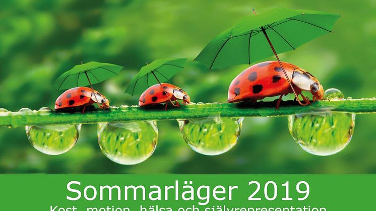 *FULLBOKAT* Inbjudan till sommarläger 2019 (fr. 18 år)