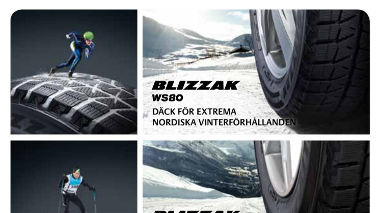 Produktblad Blizzak WS80 / DM-V2