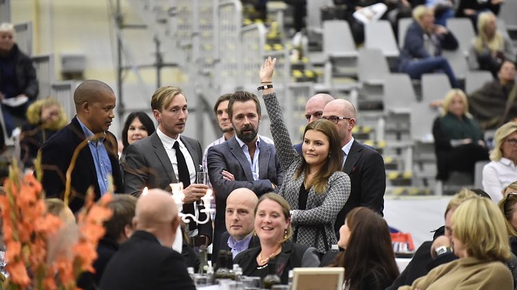Budgivning på Swedish Select Horse Sales 