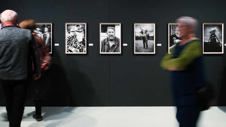 Purple Path_Oelsnitz_Brönner_Ausstellungsansicht Melting Pott_Foto_Mark Frost2.jpg