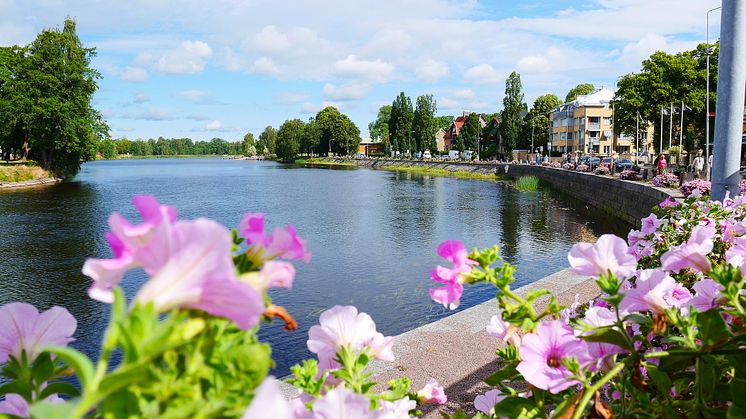  Sommarblommor utanför Stadshotellet 2016 då temat var äppelblom. 