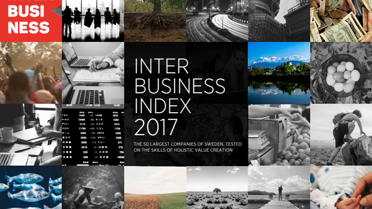 Inter Business Index 2017