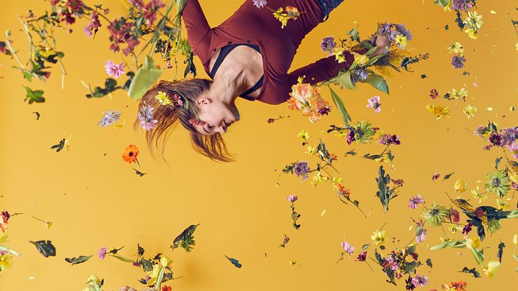 Bloom. Foto Klara G
