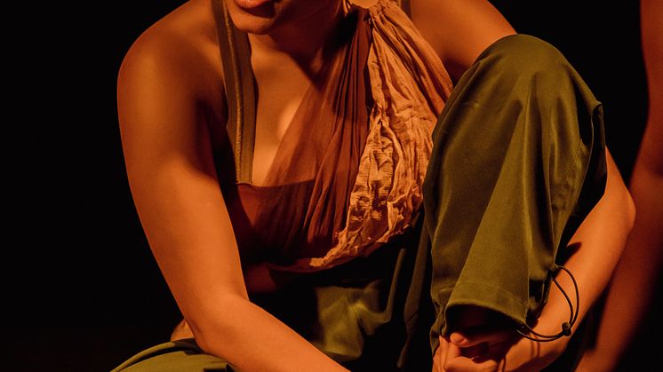 Company Nicolas Huchard - The barefoot diva