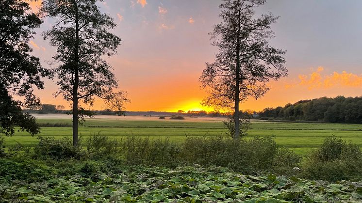 Sonnenuntergang_Itzehoe_©Lars Büttner.jpg