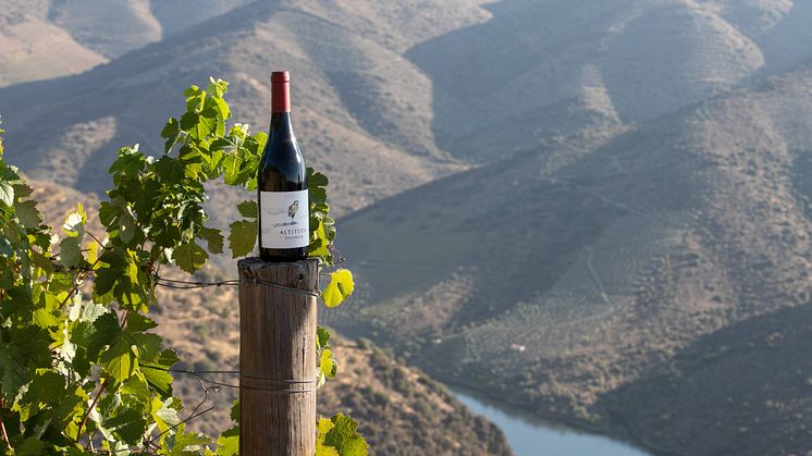 Altitude by Duorum – ett nytt vin från Douros höjder.