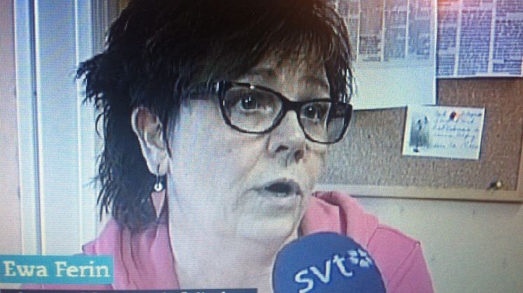 Gruppboenden för utvecklingsstörda blir allt större och allt mer institutionslika